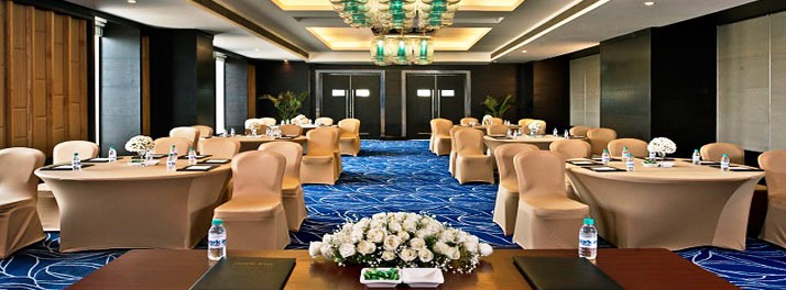 1194/Park Inn by Radisson - New Delhi 03.jpg